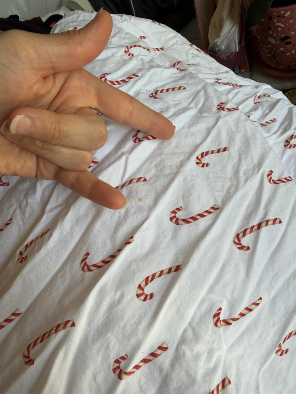 Pottery Barn Candy Cane Christmas King Sheet Set